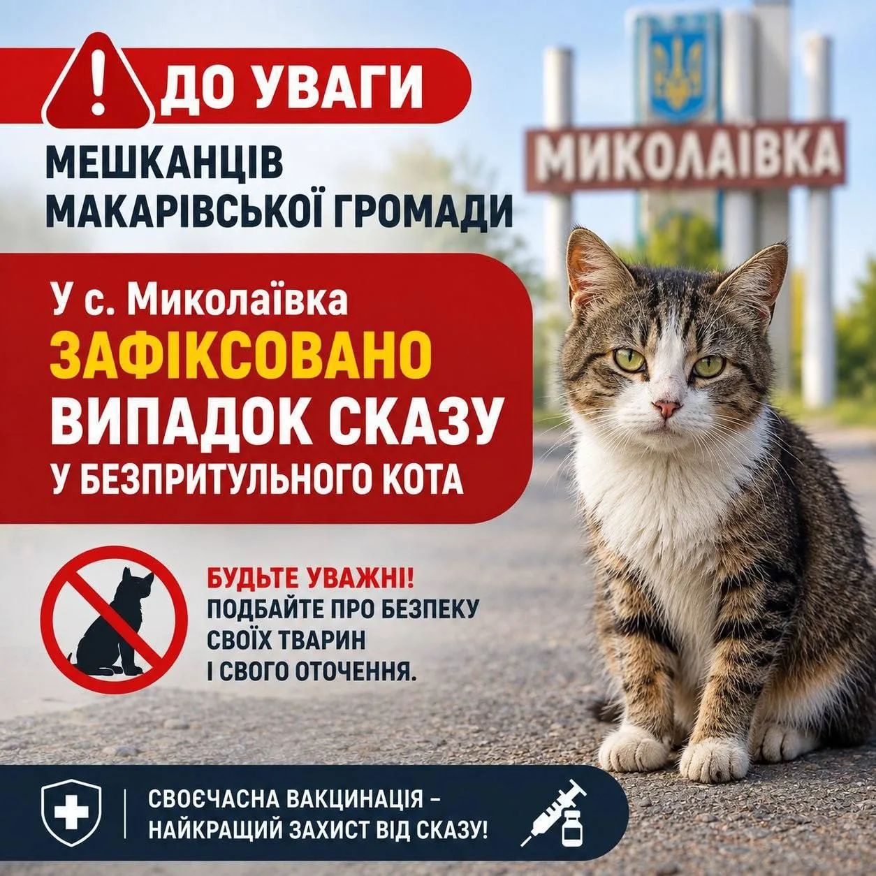 Інформаційний плакат про випадок сказу у кота в селі Миколаївка
