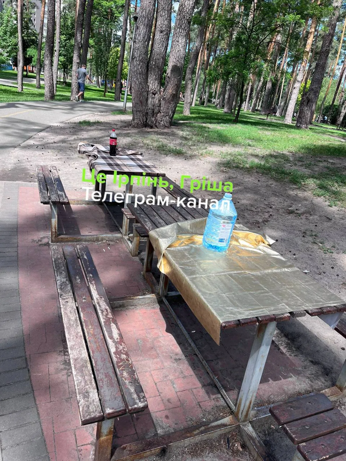 Столик для пікніка в парку з пляшкою води та логотипом телеграм-каналу