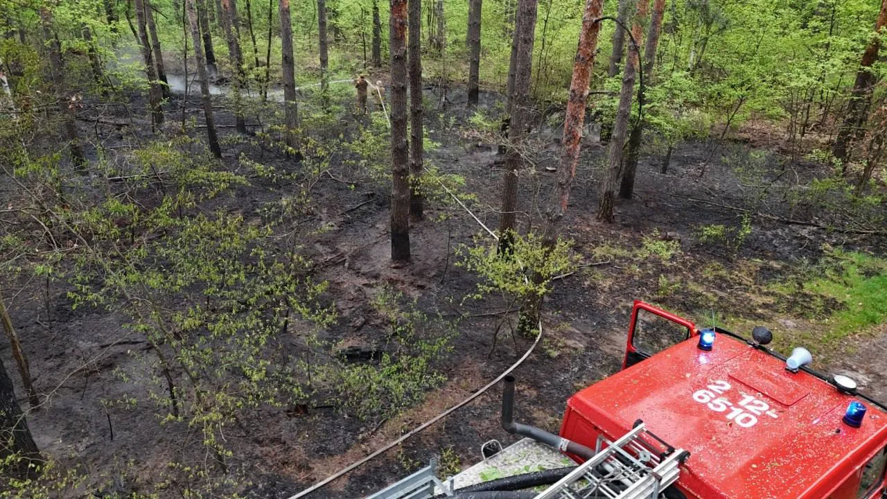Гасіння лісової пожежі червоною цистерною в лісі