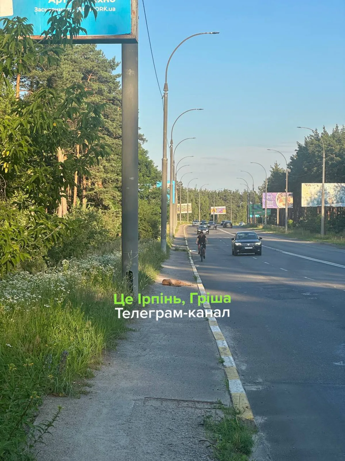 Дорога з автомобілями та рекламними щитами в Ірпені