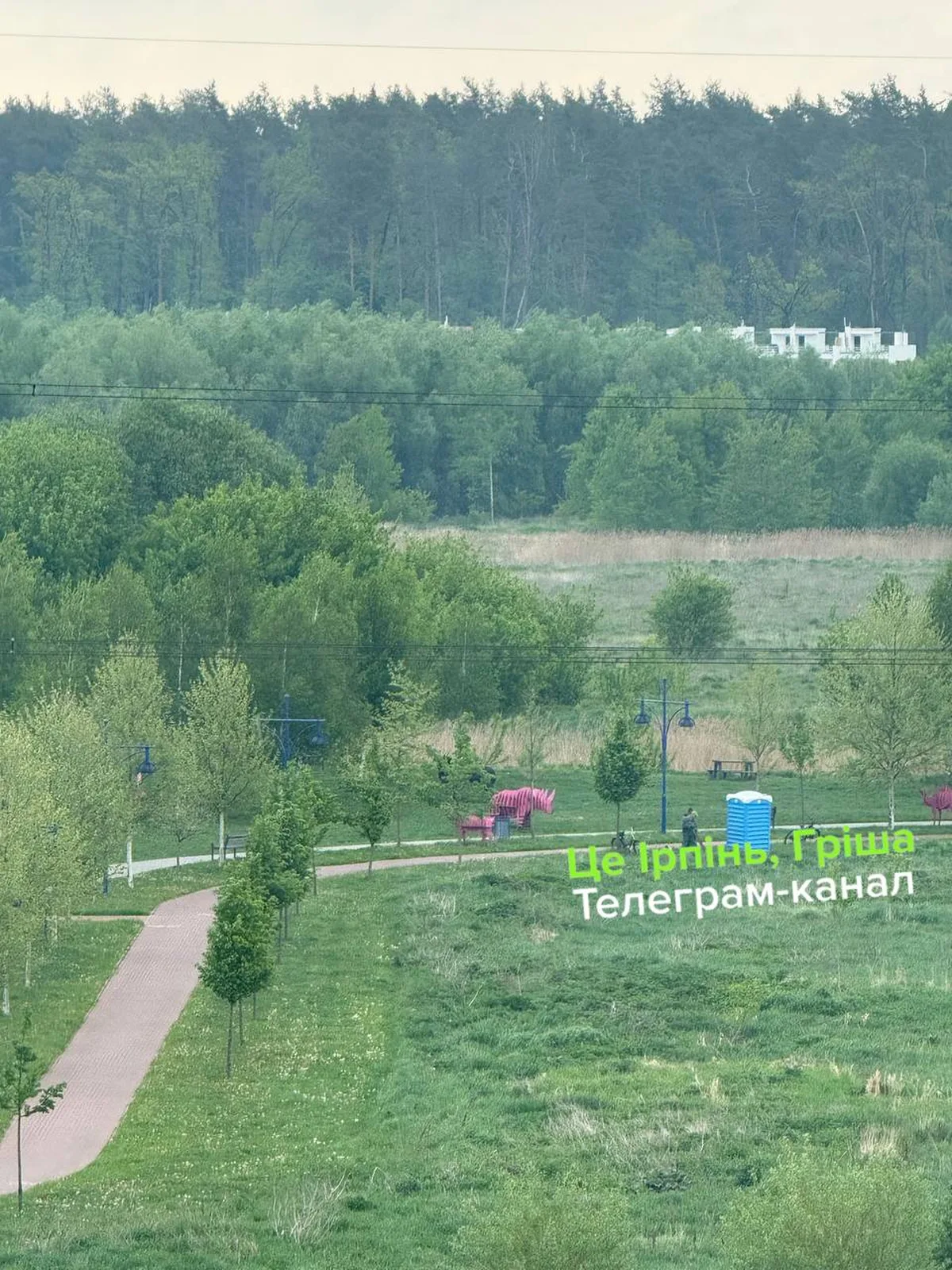 Вид з висоти на парк з доріжками та лісом