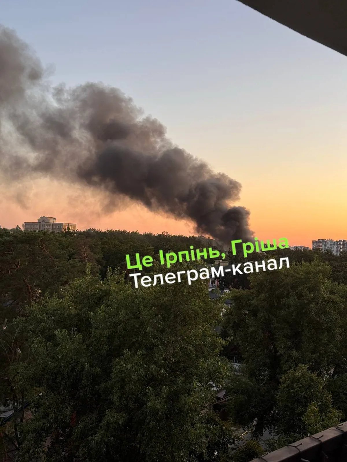 Дим від пожежі над лісистою місцевістю в Ірпені