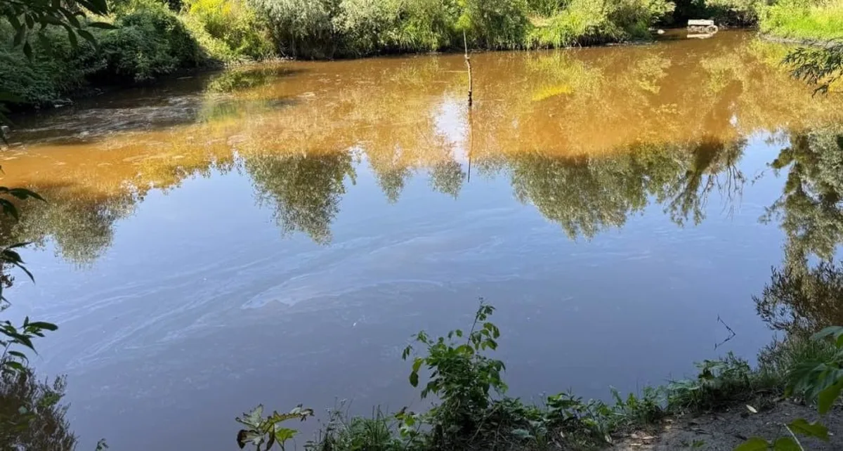 Річка Борщагівка з забрудненою водою коричневого кольору