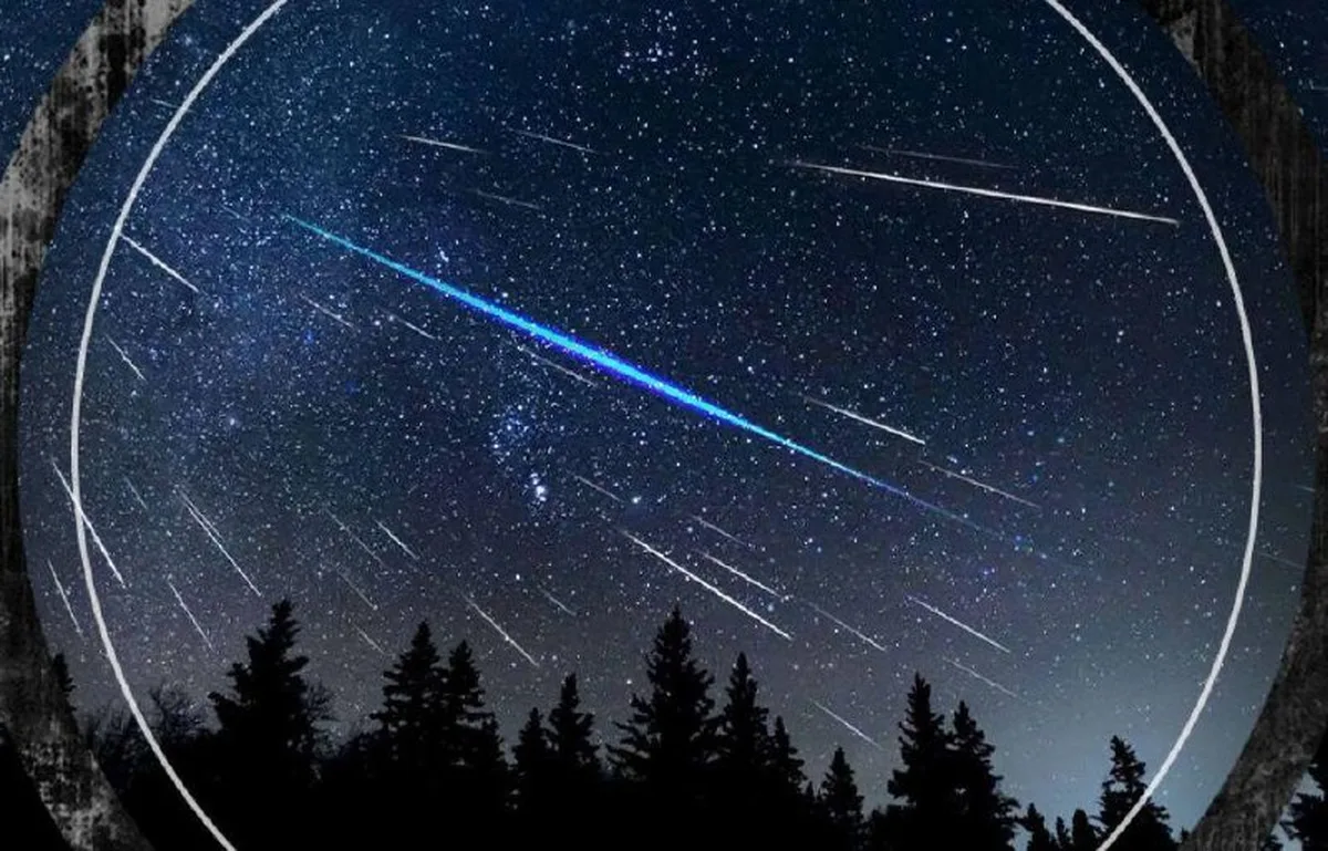 Нічне небо з метеорами та силуетами ялин