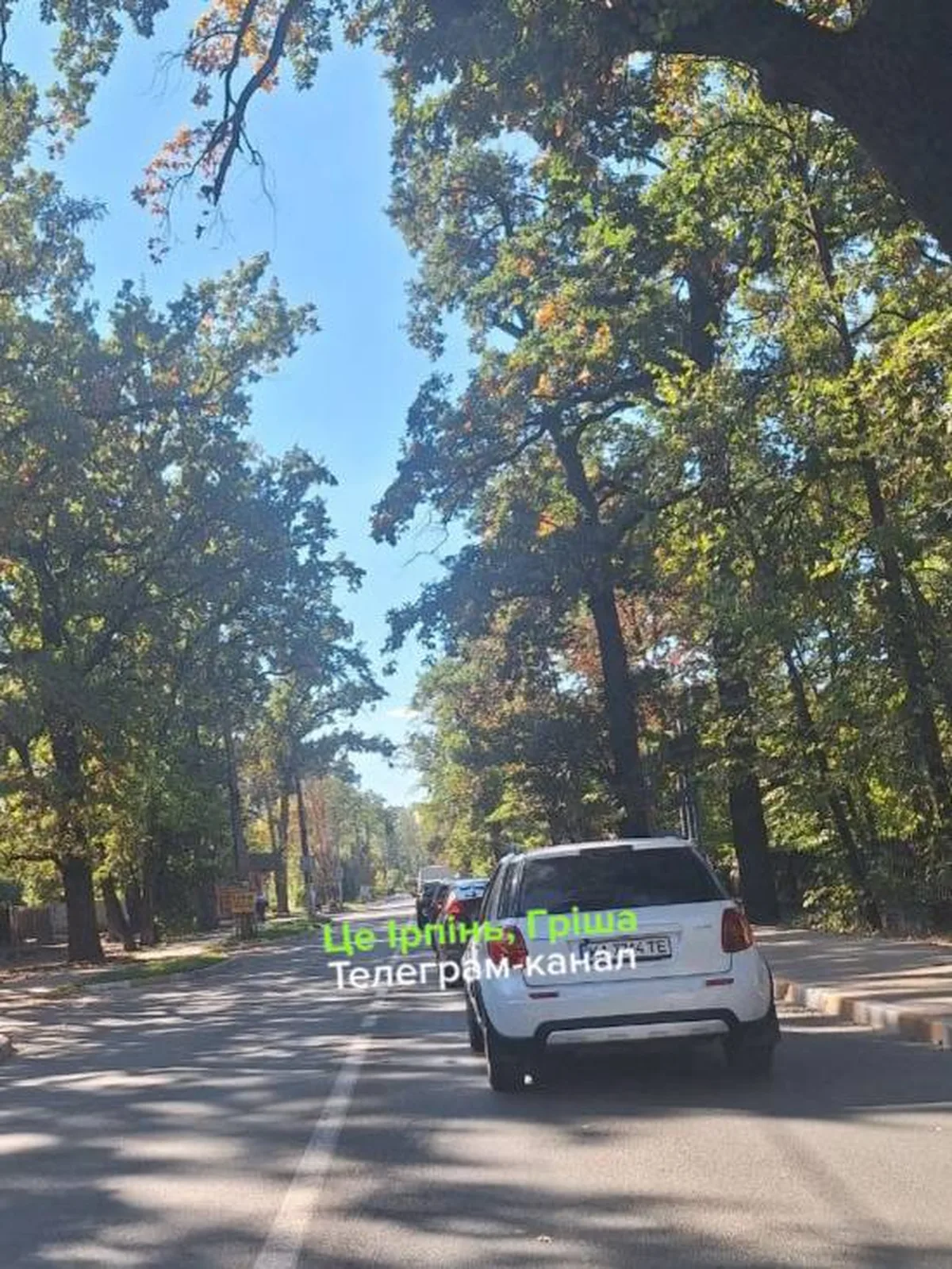 Автомобіль на вулиці серед дерев у сонячний день