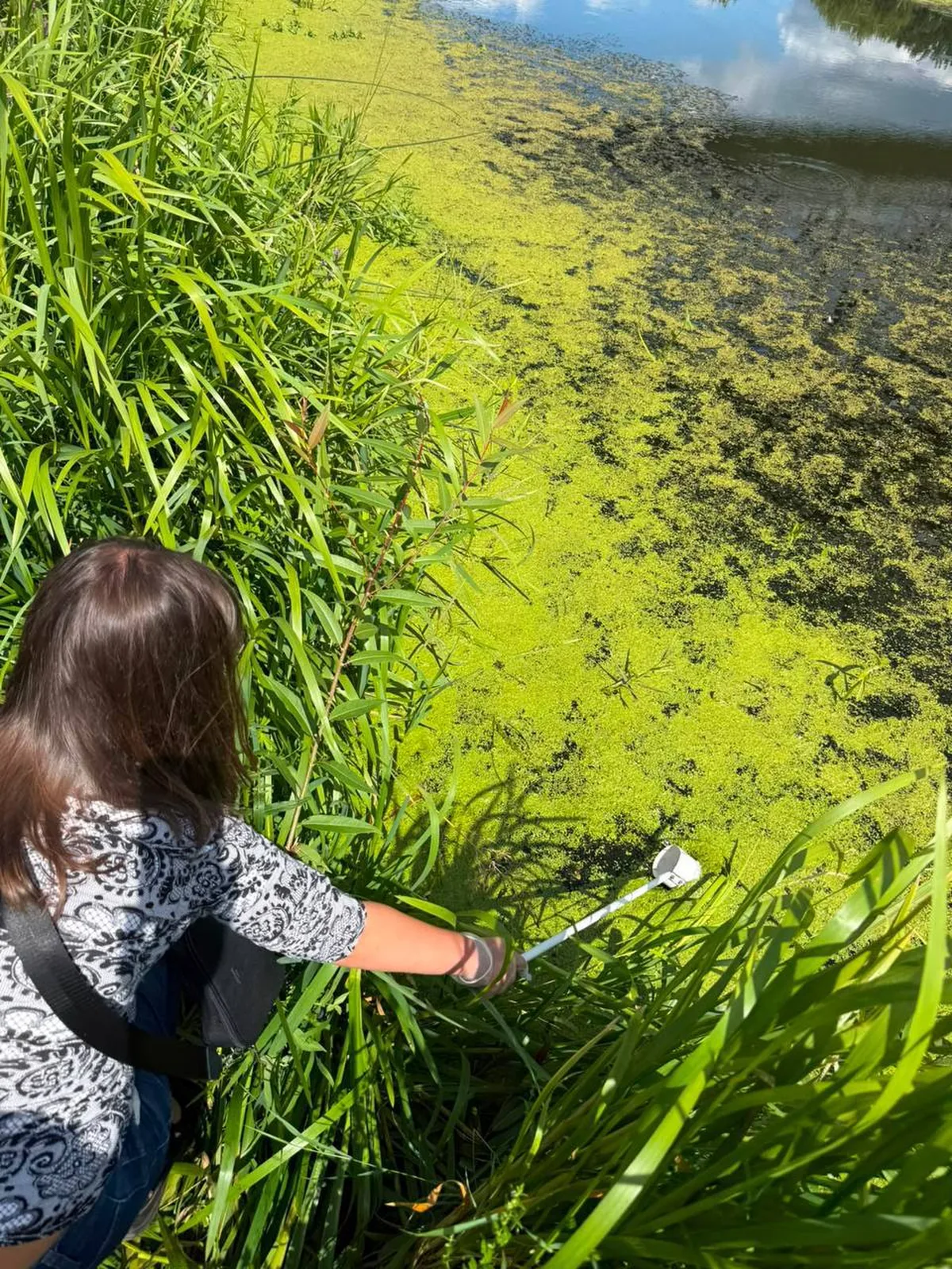 Дитина біля річки з зеленим водоростевим цвітінням