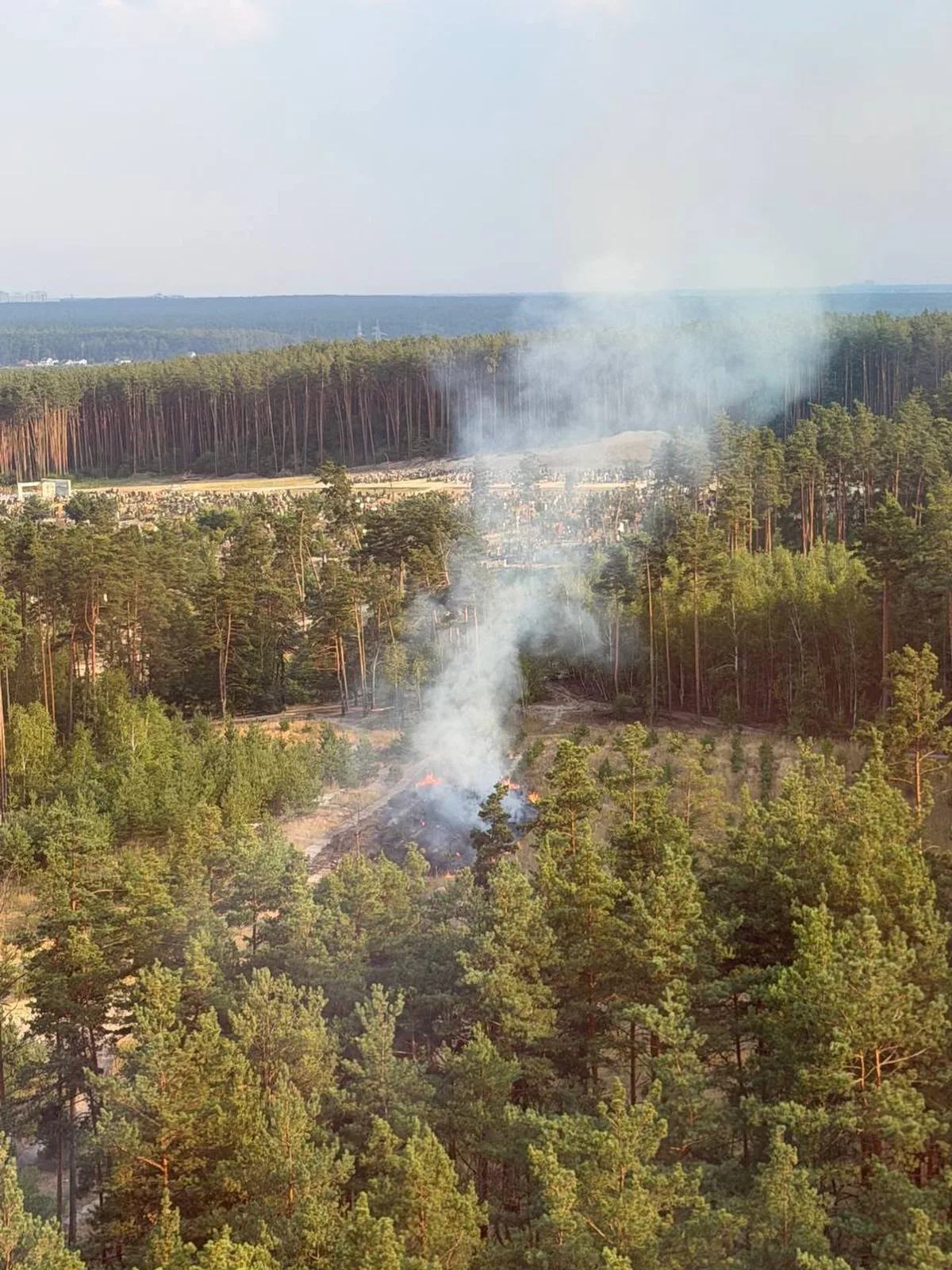 Лісовий пожар з димом серед хвойного лісу