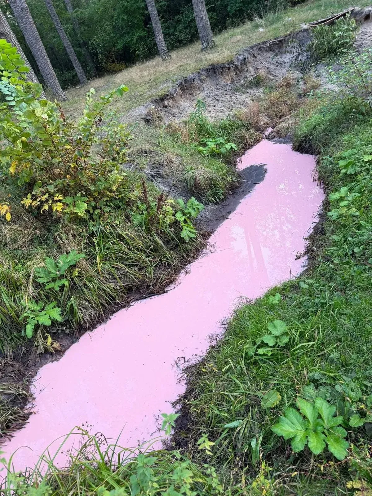 Річка з рожевою водою серед зелені та берегів