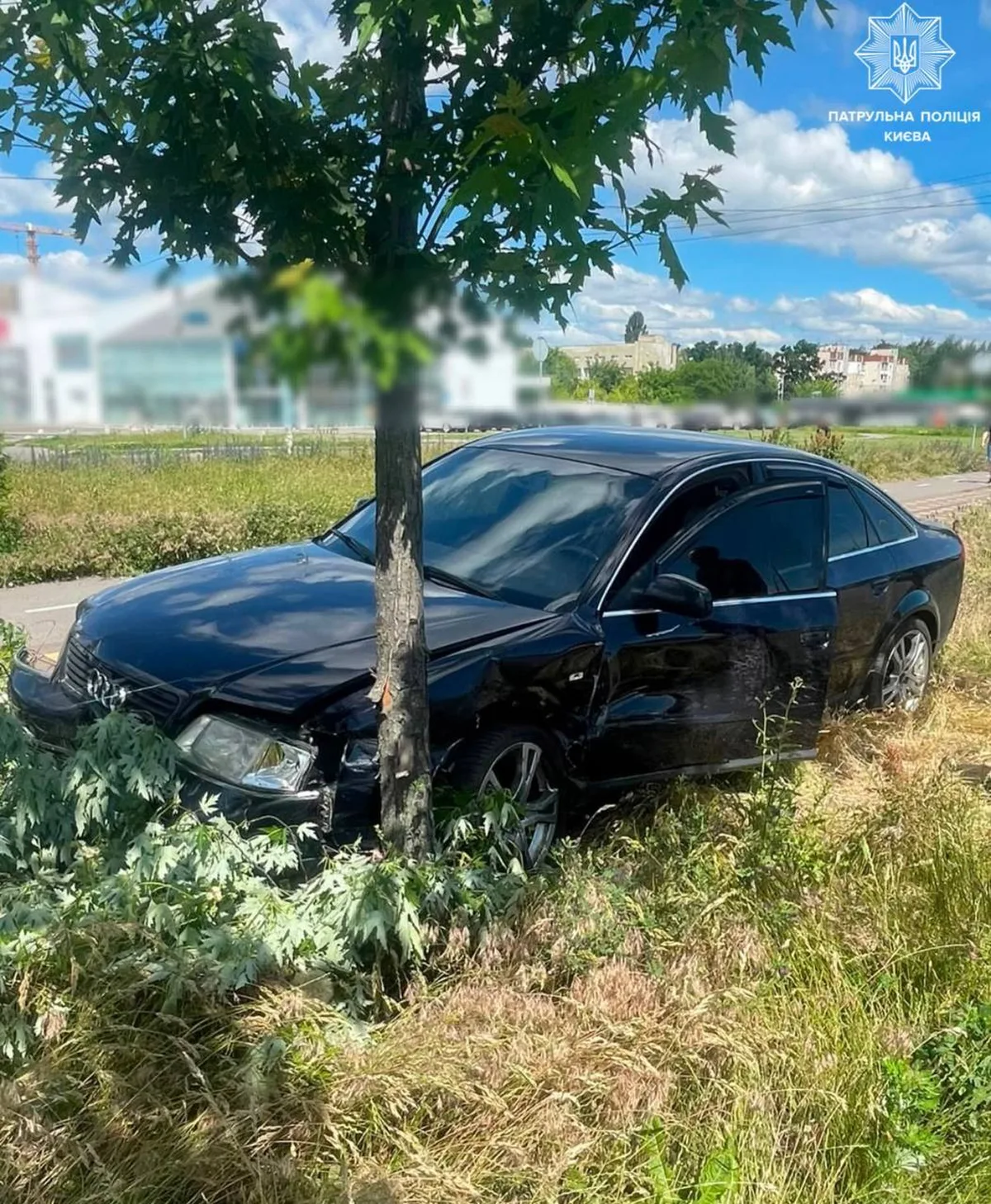Чорний автомобіль врізався в дерево на полі