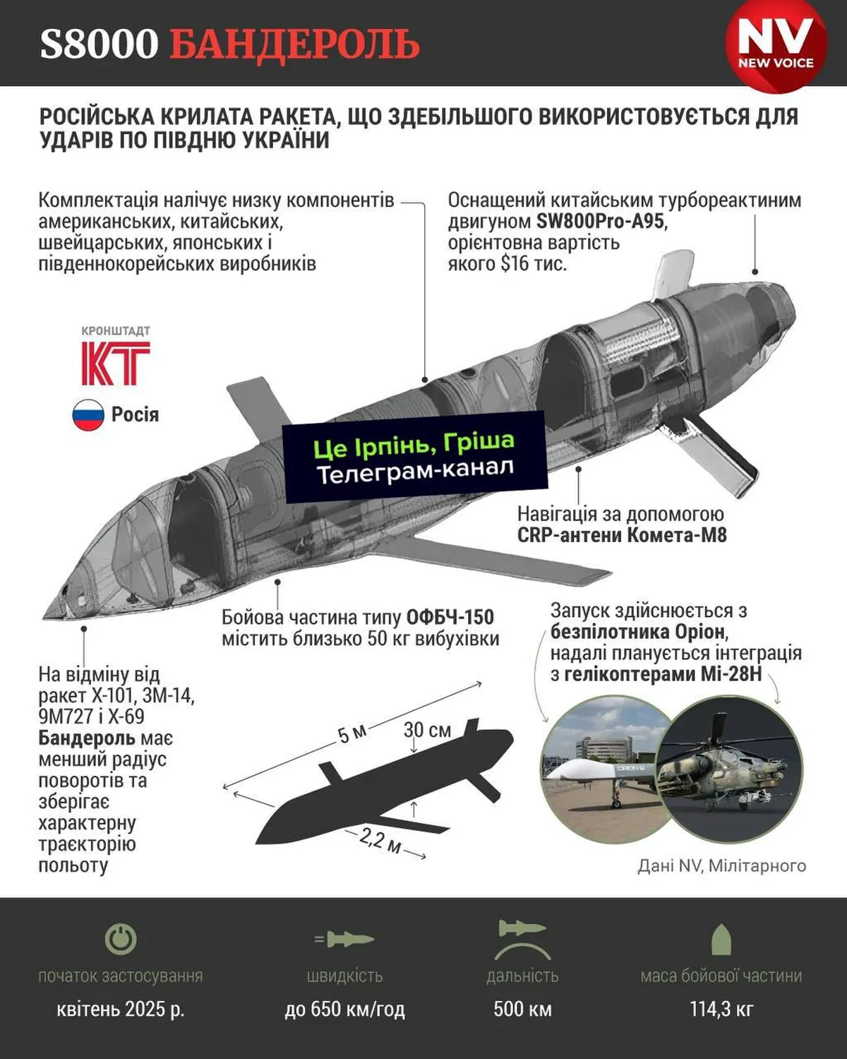 Технічна схема російської крилатої ракети S8000 Бандероль