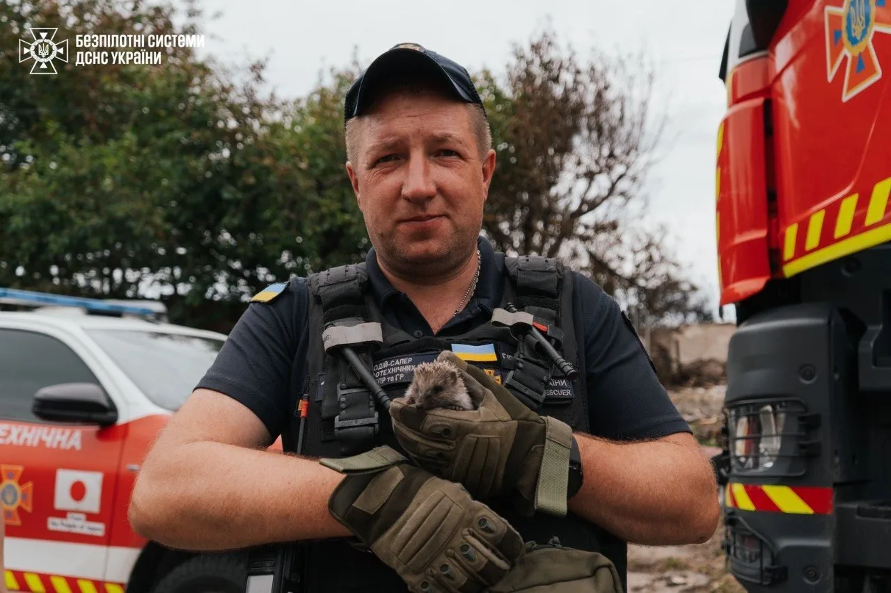 Рятувальник тримає їжака в руках біля машин