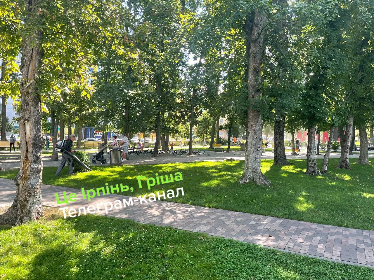 Парк з великими деревами та зеленою травою