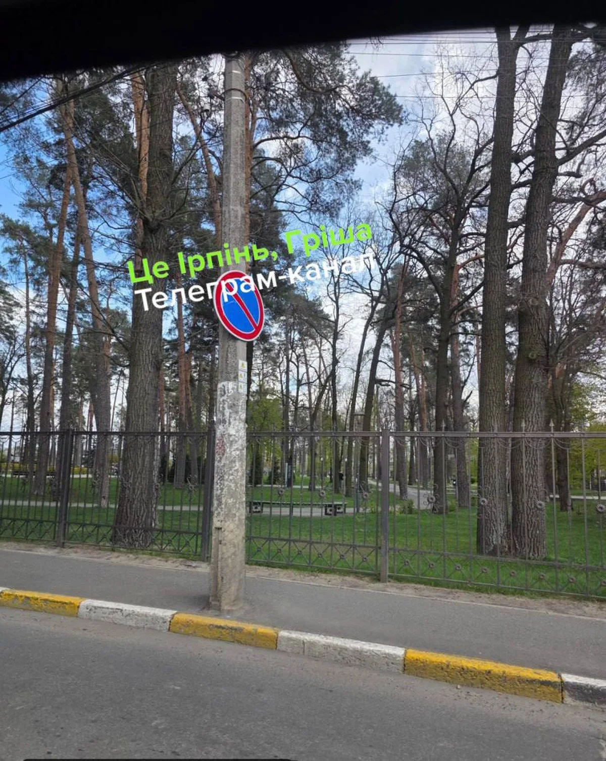 Алея з високими деревами та паркан біля дороги