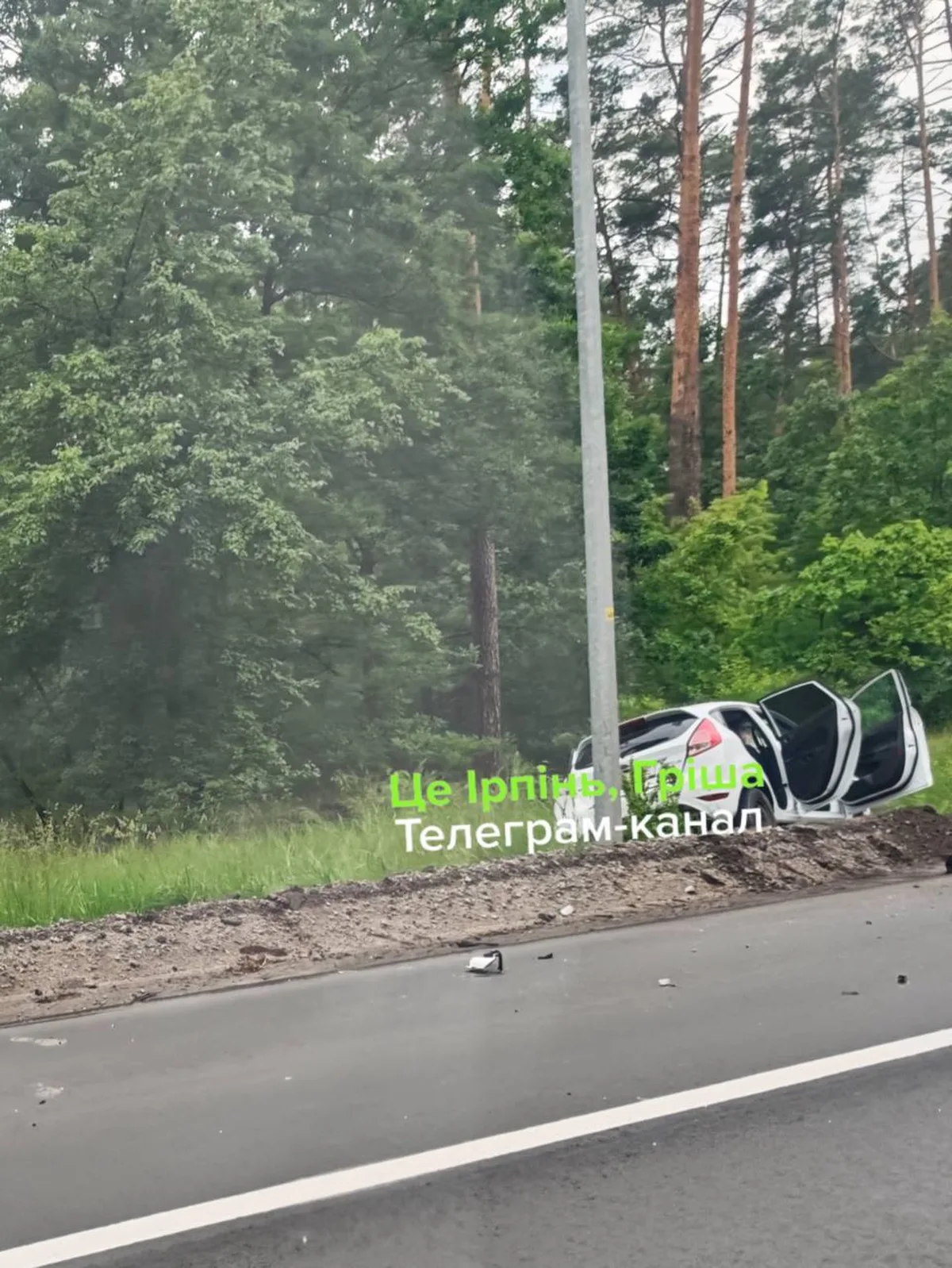 Пошкоджений автомобіль у лісі біля дороги