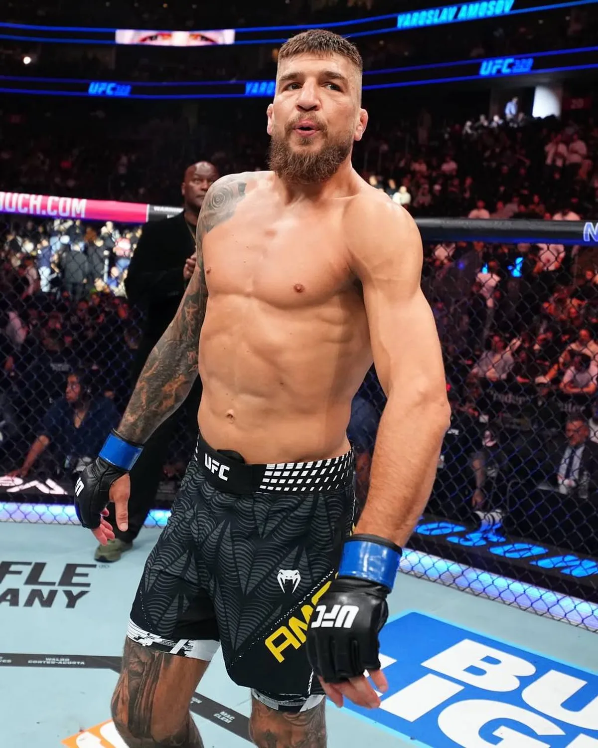Боєць у боксерських рукавицях на октагоні UFC