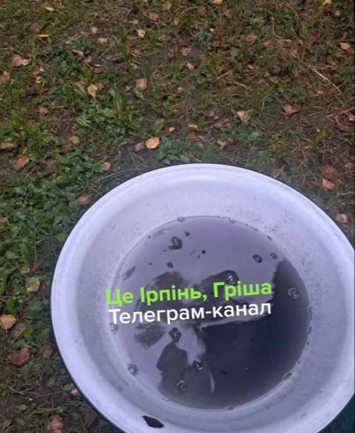 Біла ємність з чорною рідиною на траві