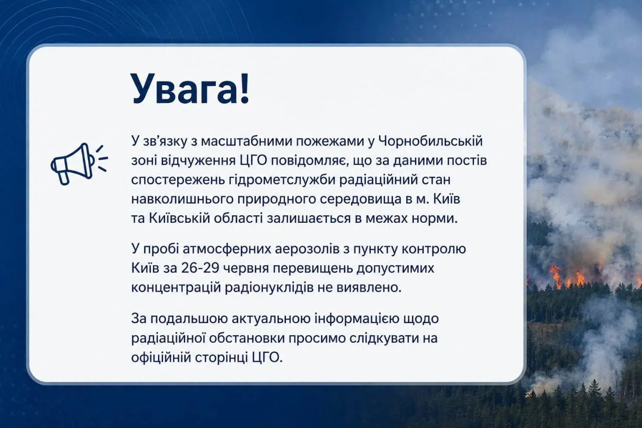 Лісова пожежа в Чорнобильській зоні з димом
