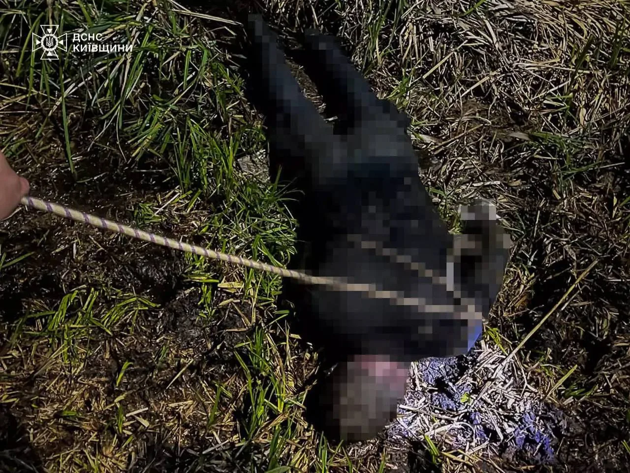 Рятувальники витягують тіло з води на траву