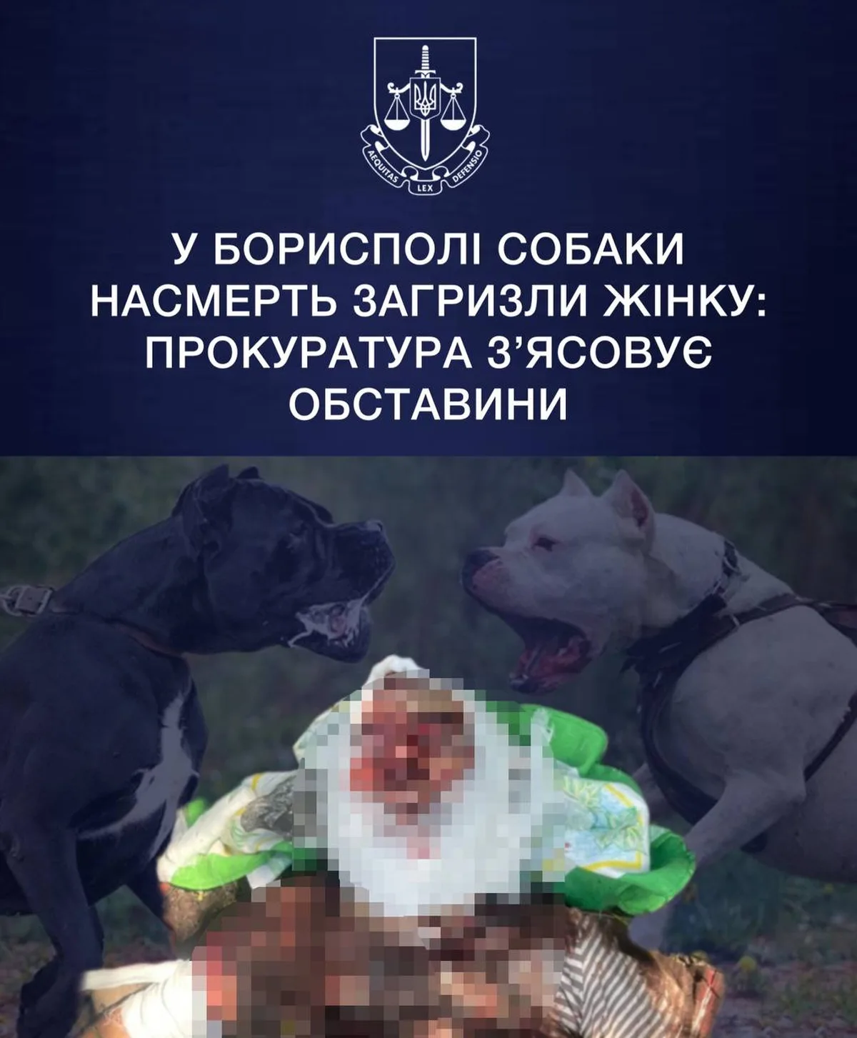 Собаки біля пораненої жінки з перев'язаною головою