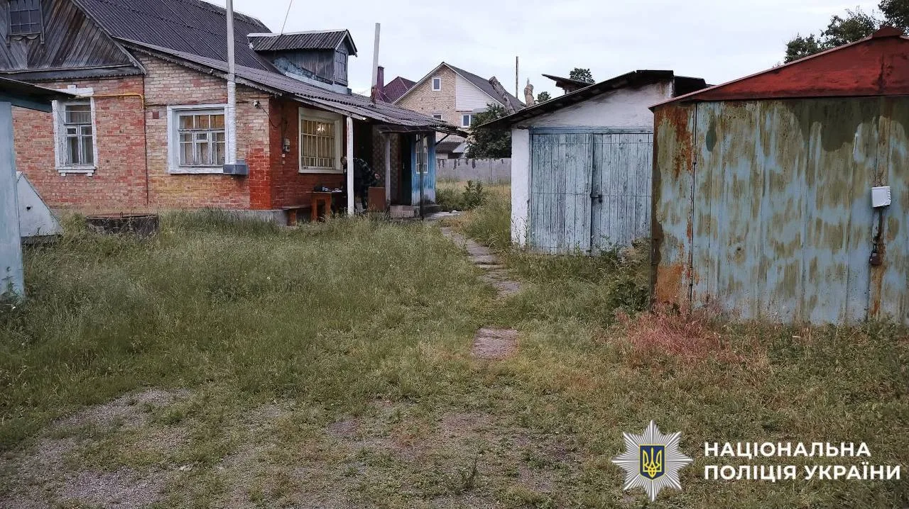 Приватні будинки та господарські будівлі в селищі