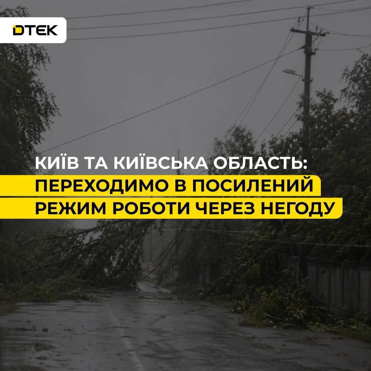 Повалені дерева на вулиці під час негоди, пошкоджені електроліній