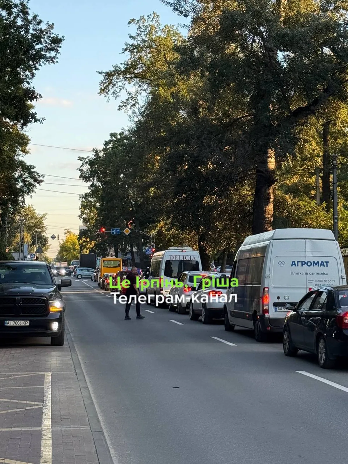 Вулиця з припаркованими автомобілями та деревами