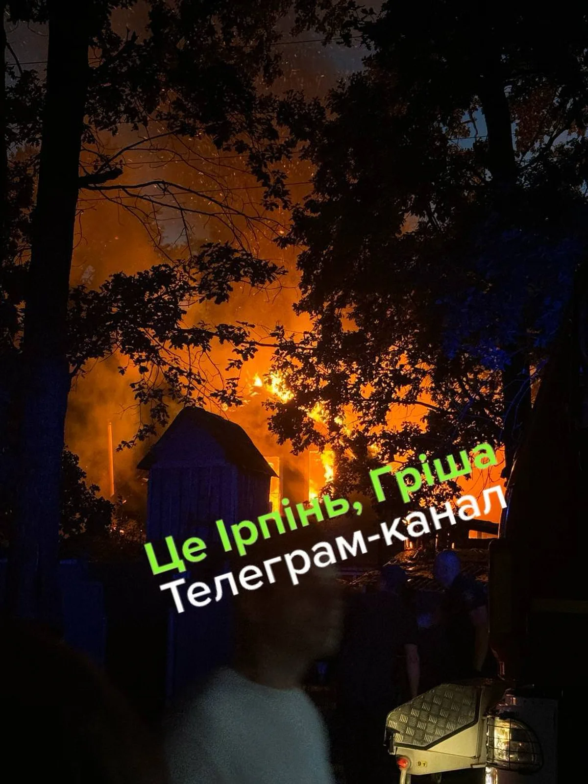 Нічна пожежа в приватному будинку серед дерев