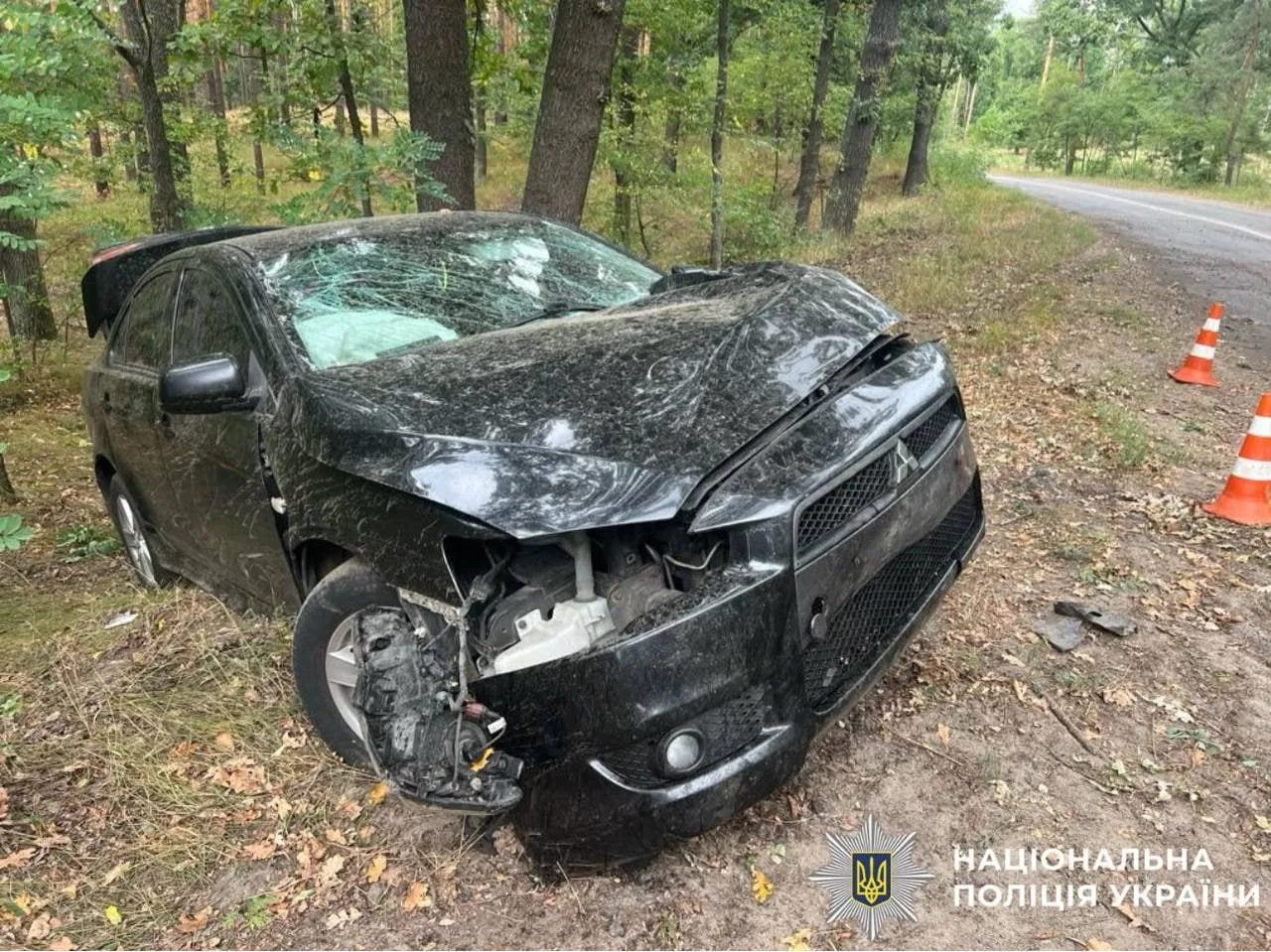Пошкоджене легкове авто після зіткнення з деревом