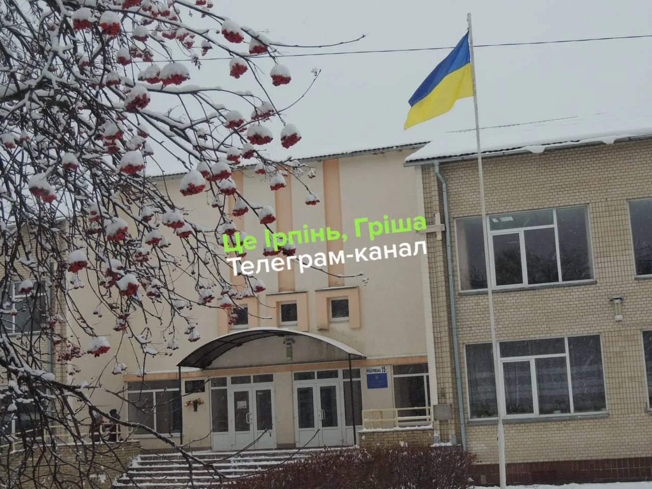 Будівля ліцею з українським прапором на флагштоку