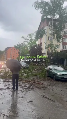 Повалене дерево на вулиці біля припаркованого автомобіля