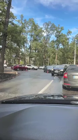 Припаркована автомобілі на вулиці серед дерев