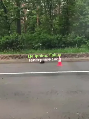Місце дорожної аварії на трасі біля лісу