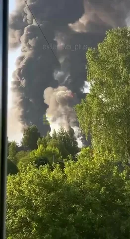 Дим і полум'я над промисловим об'єктом за деревами