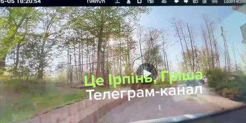Лісова дорога з пошкодженими деревами вздовж шляху