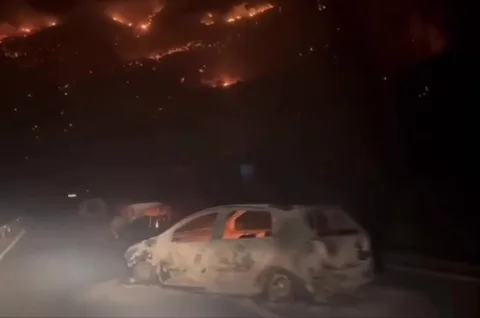 Пошкоджений автомобіль на дорозі під час лісової пожежі