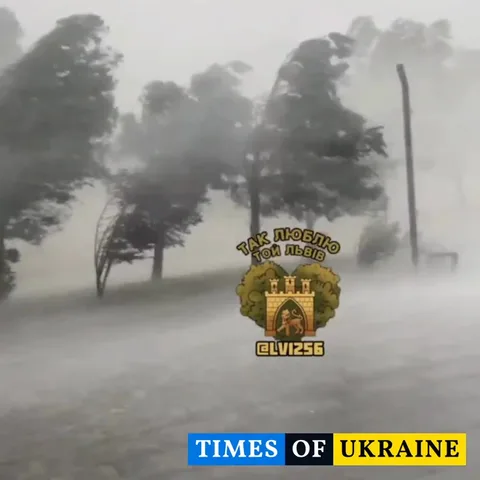 Сильний вітер валить дерева на вулиці міста
