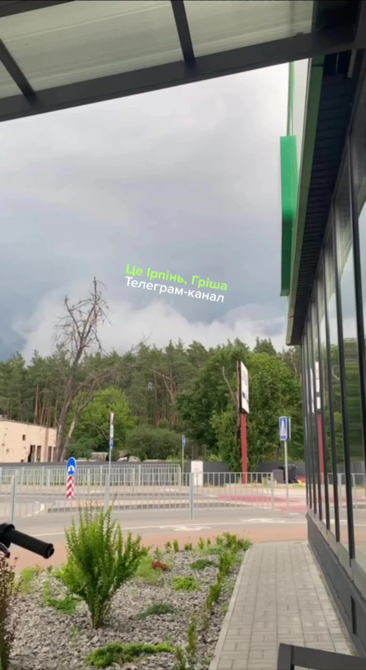 Вид з будівлі на площу з телевежею та лісом позаду