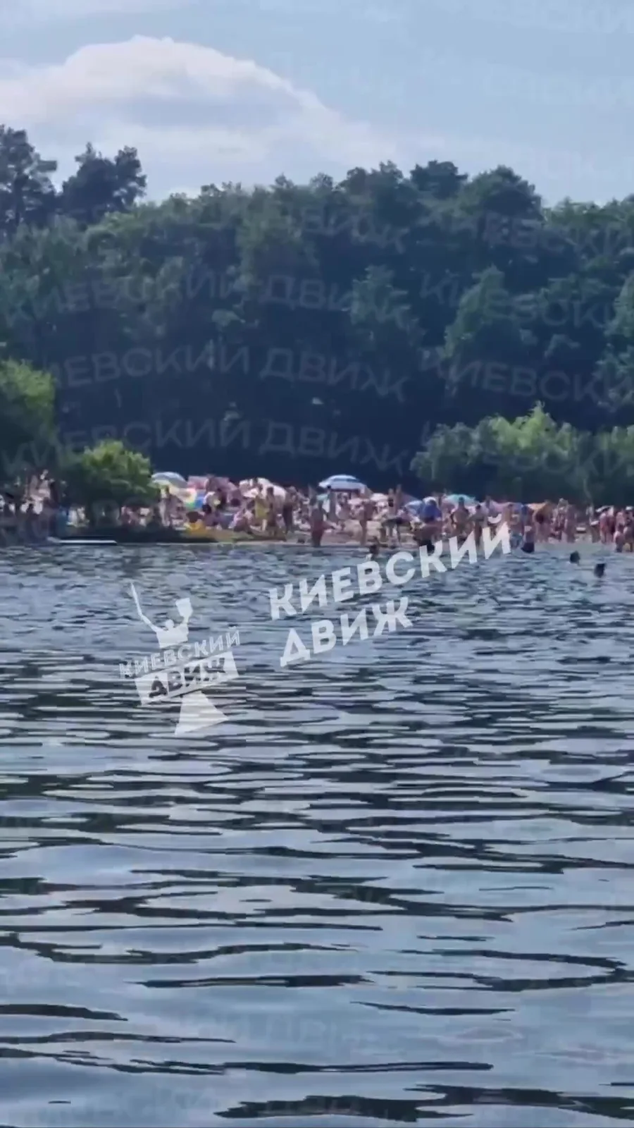 Люди купаються в річці Дніпро в Пущі-Водиці
