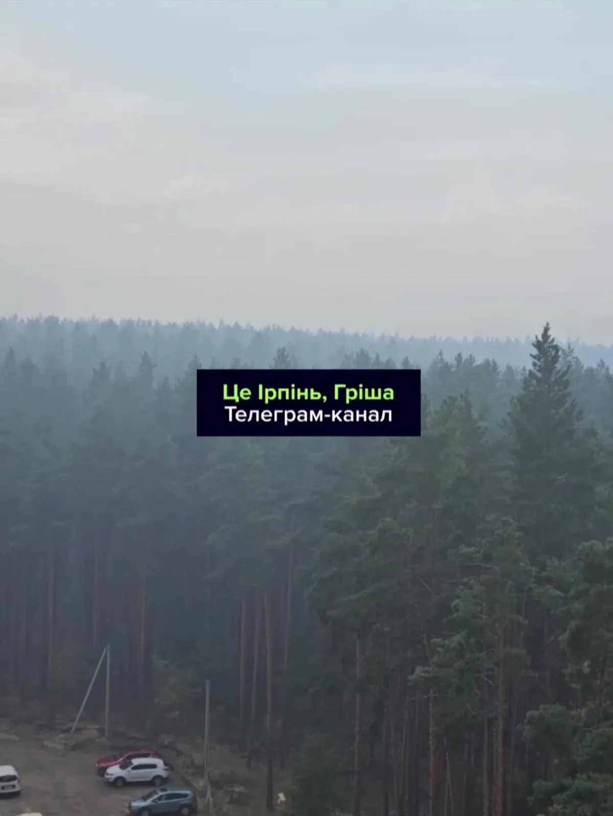Задимлений ліс з припаркованими автомобілями внизу