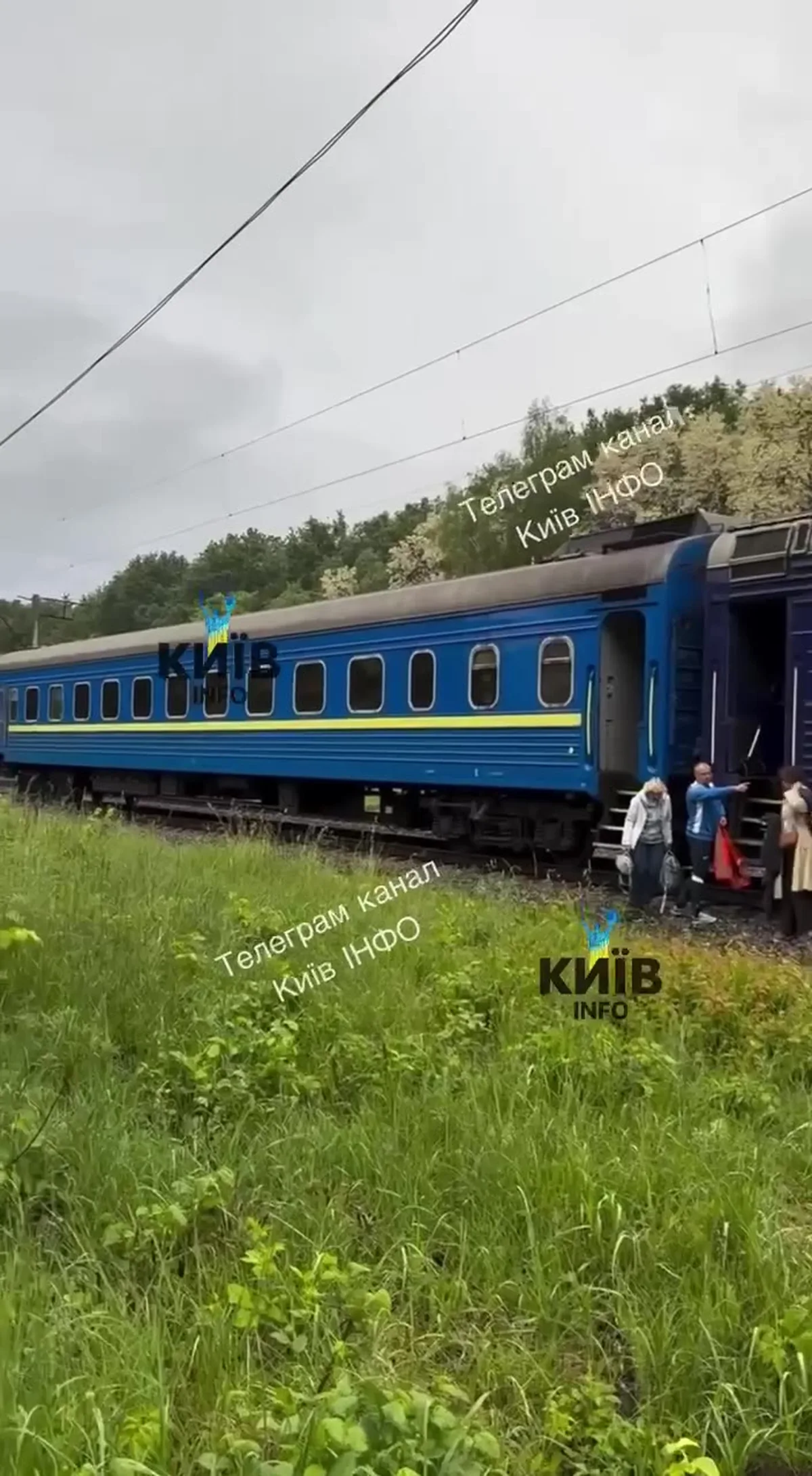 Синій пасажирський потяг на залізничній колії серед зелені