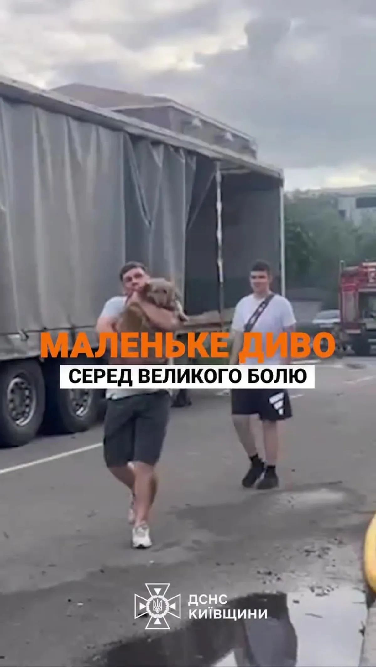 Чоловік біжить до собаки біля вантажівки