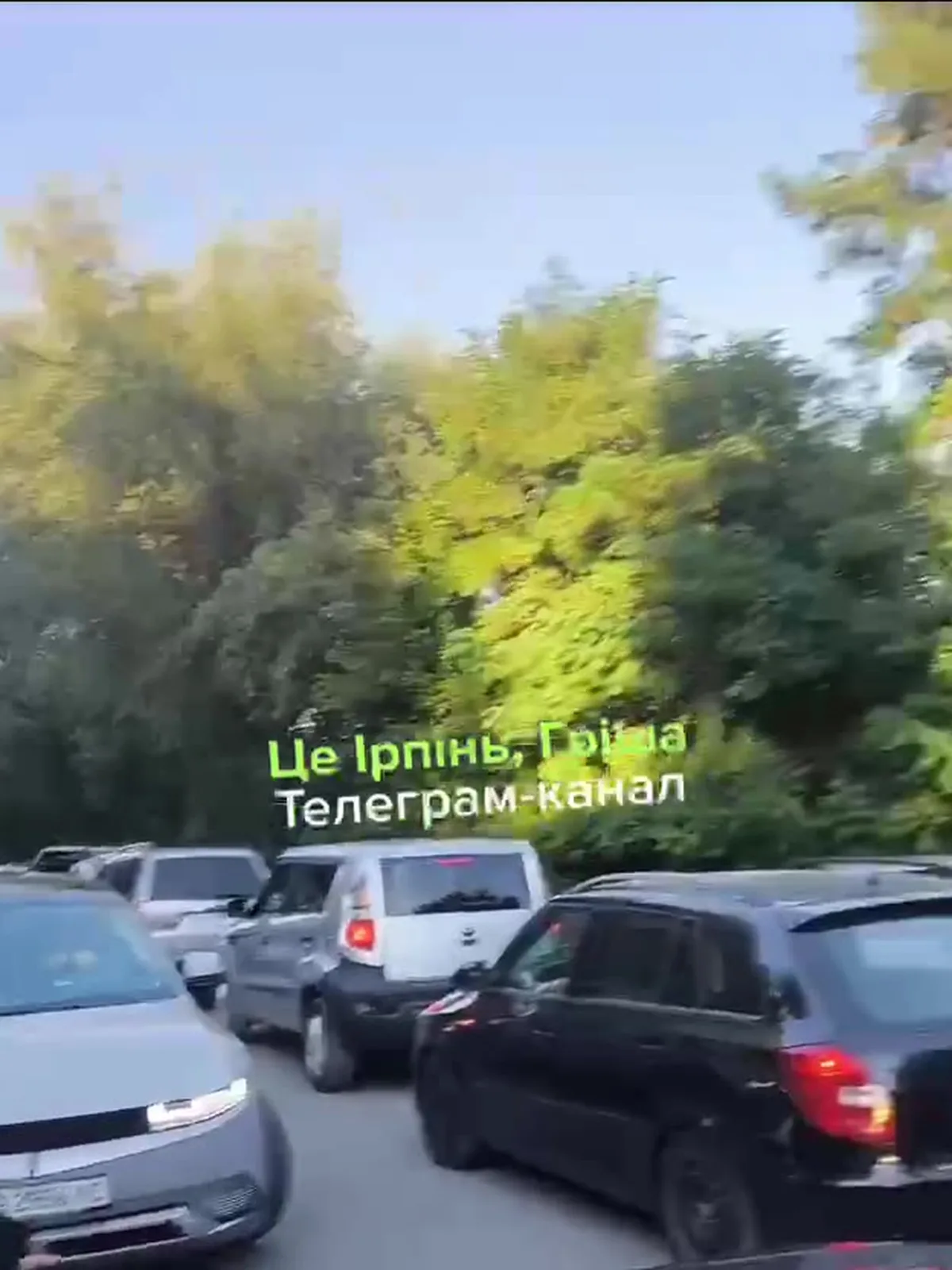 Припаркована автомобілі на стоянці біля зелених дерев
