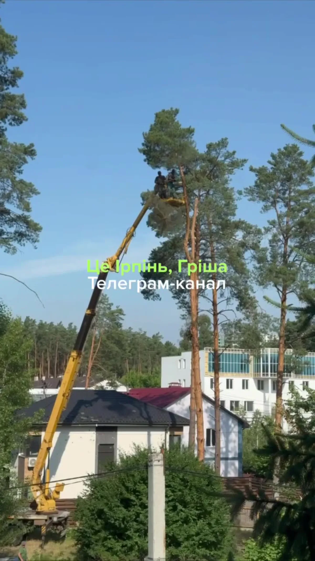 Спеціалізована техніка спилює дерево на будівельному майданчику
