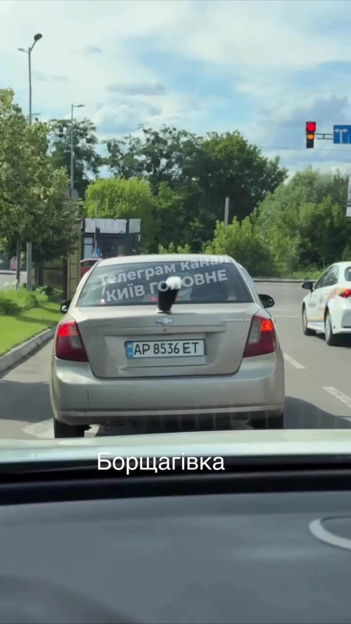Сірий автомобіль на дорозі з пошкодженням на задній частині