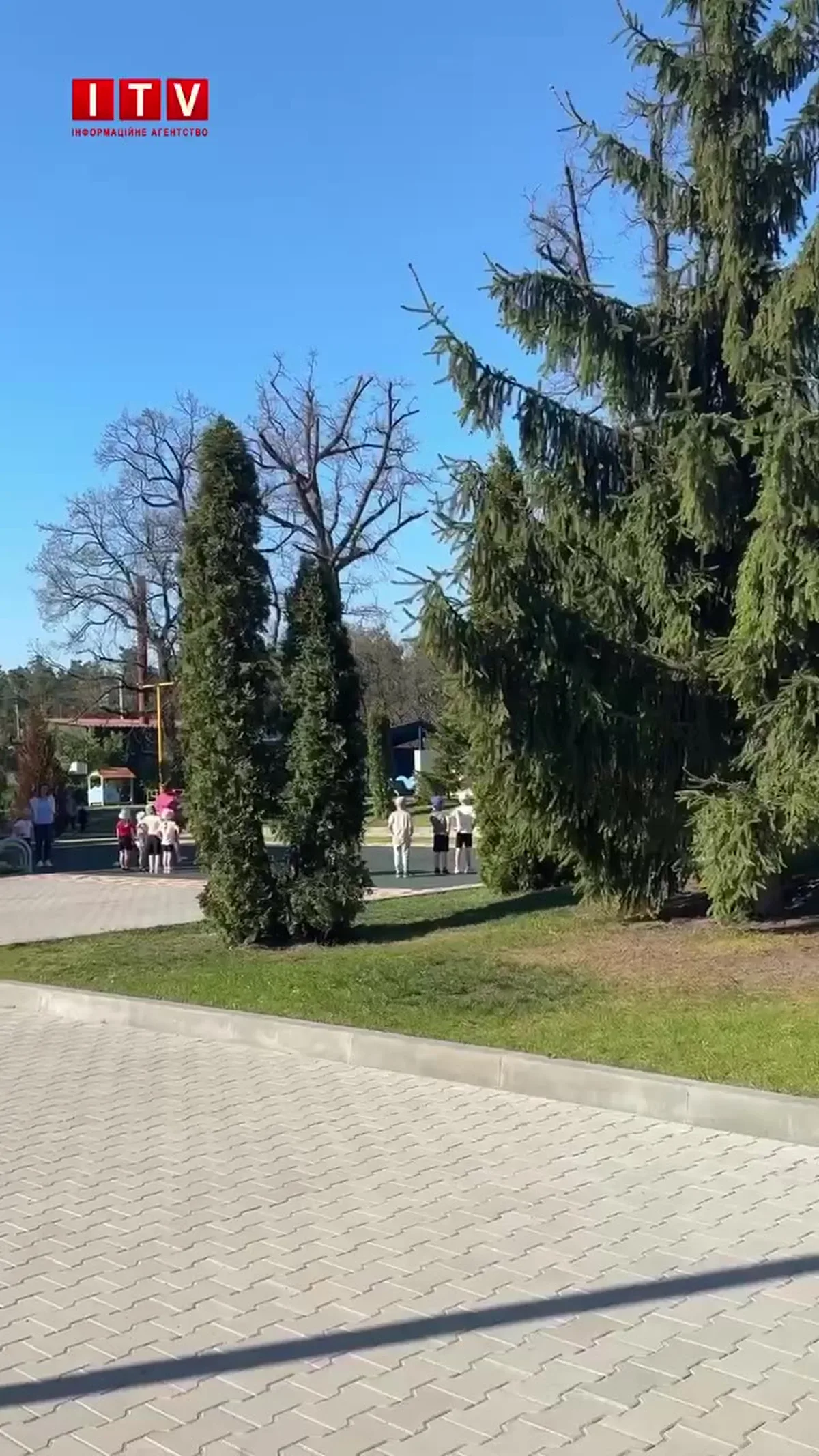 Парк з хвойними деревами та цегляною доріжкою