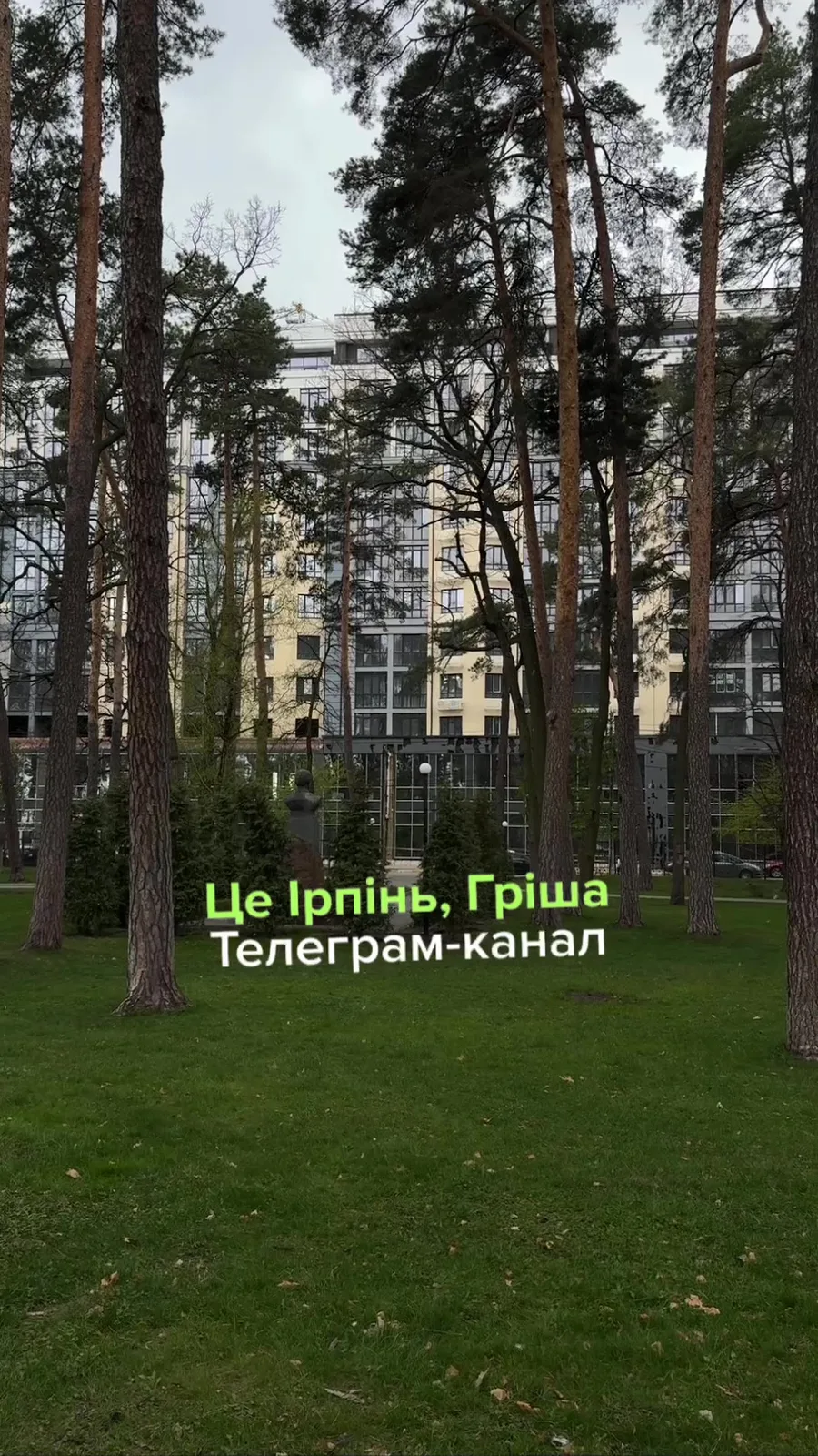 Парк з високими соснами та житловими будинками позаду
