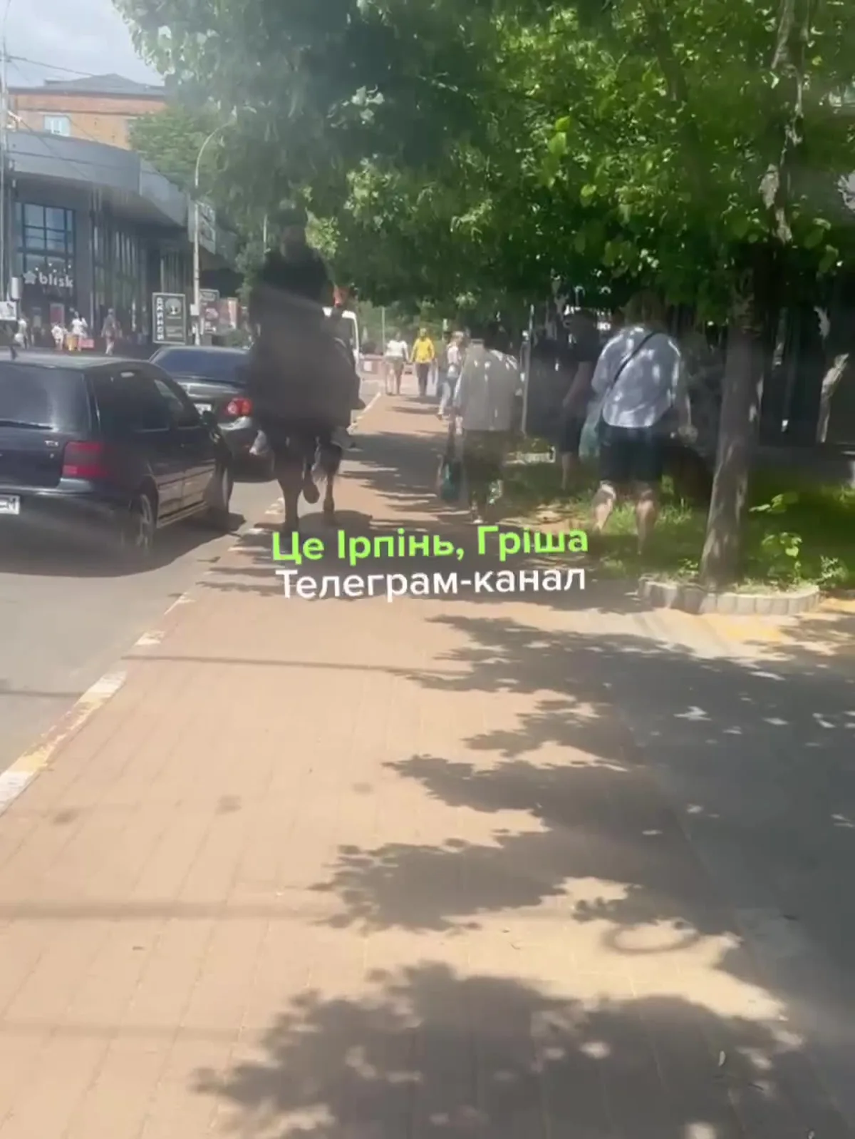 Людина верхи на коні на вулиці міста серед припаркованих автомобілів