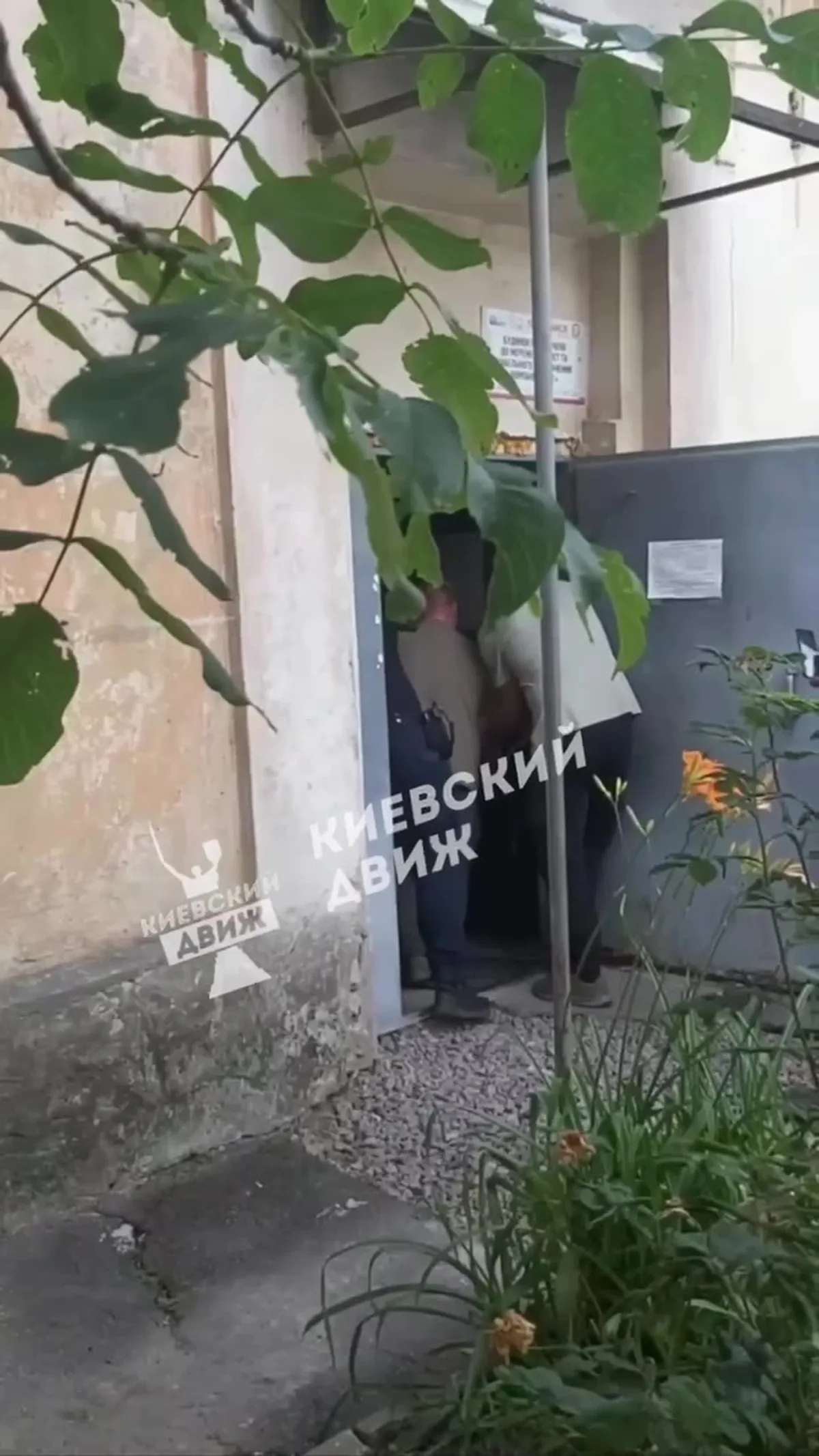 Вхід до будівлі з виткою рослиною біля дверей