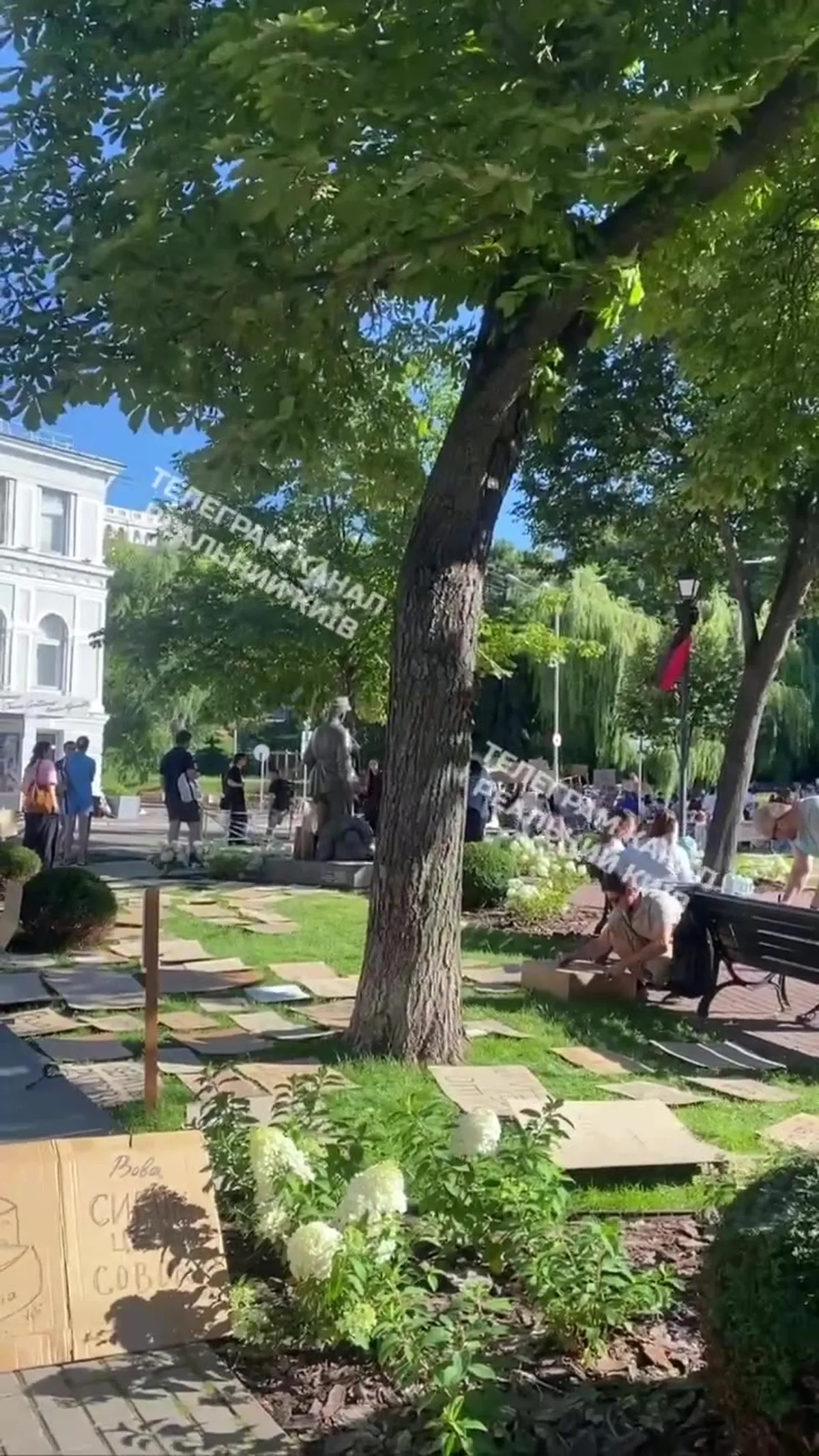Люди збираються біля великого дерева на площі біля театру