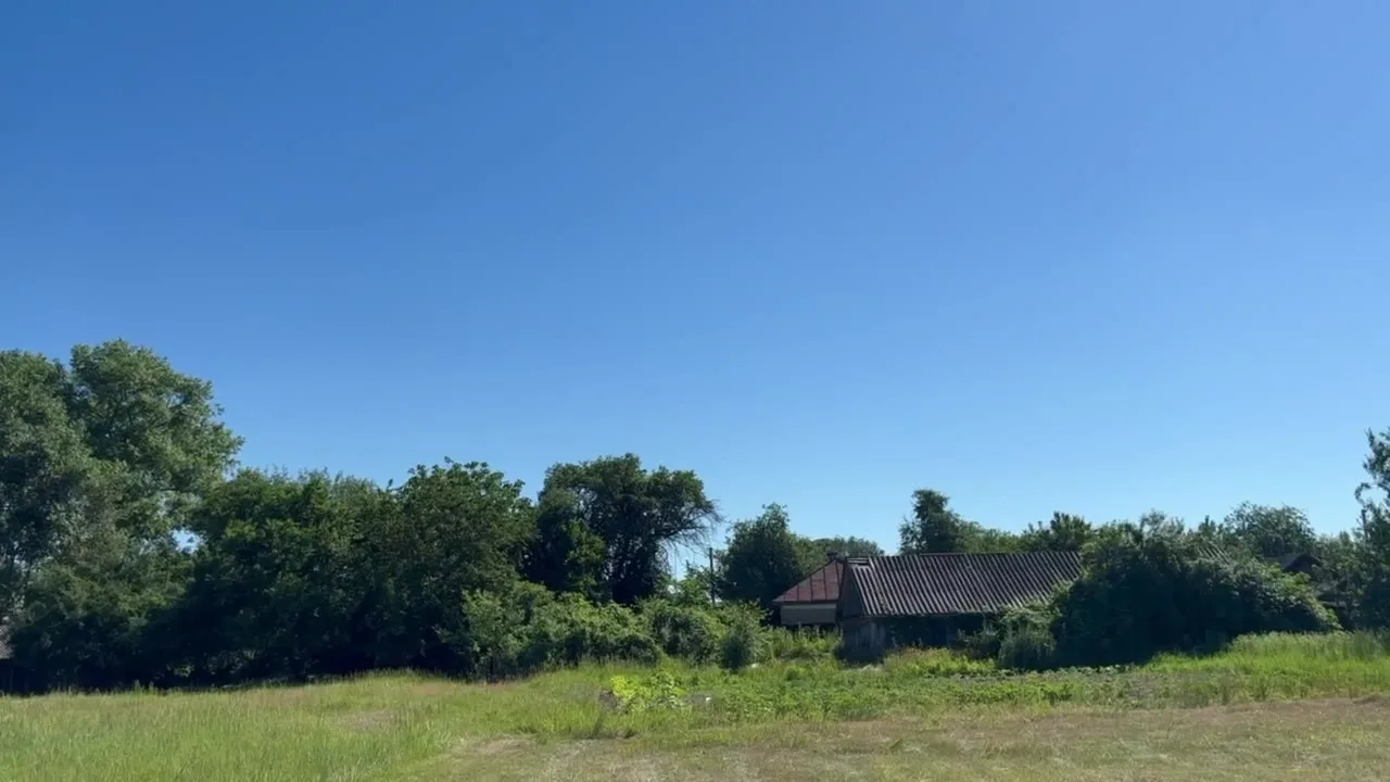 Сільська місцевість з деревянним будинком серед зелені